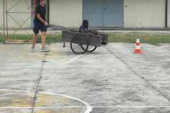 IMG-20190905-WA0074