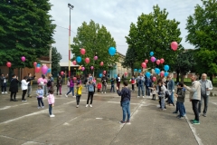 IMG_20190526_1101476