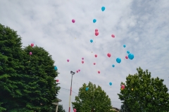 IMG_20190526_1102507