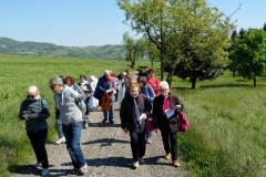 IMG_20190501_1040379-FILEminimizer