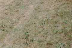 IMG-20190905-WA0097