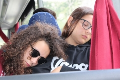 IMG_1378 (FILEminimizer)