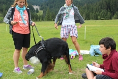 IMG_1480 (FILEminimizer)