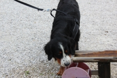 IMG_1642 (FILEminimizer)