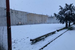 IMG_0118