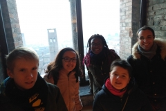 IMG_20181201_1633179 (FILEminimizer)